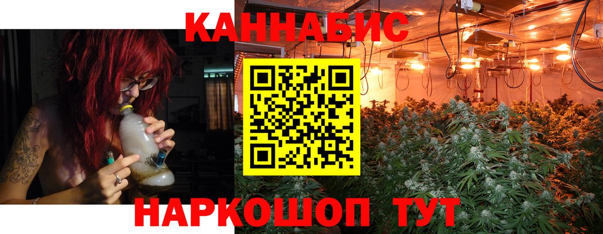 Бошки Шишки план  Конопля сатива  Вход с VPN  Алушта  Конопля тримм 